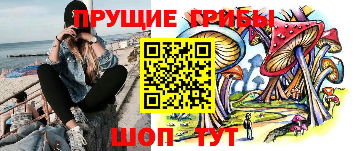 Галлюциногенные грибы Psilocybe  наркотики  Ирбит  Вход с VPN 